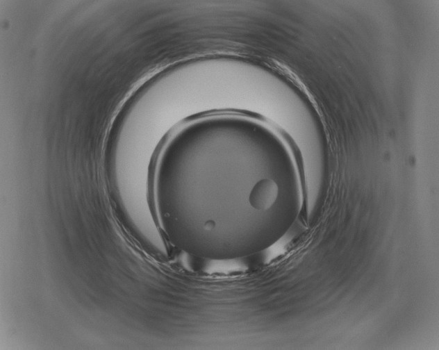 X0000079280435200612081757