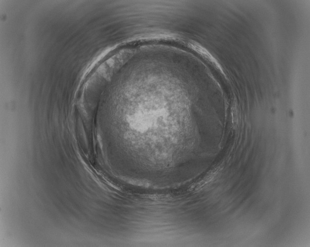 X0000079280436200612081757