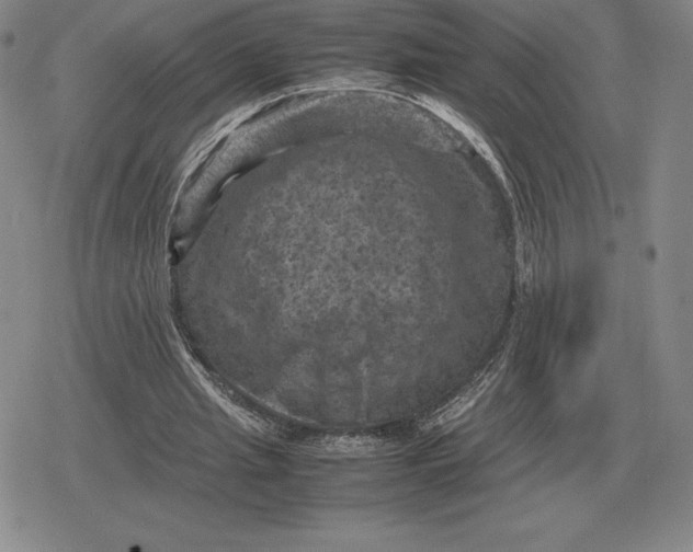 X0000079280437200612081757