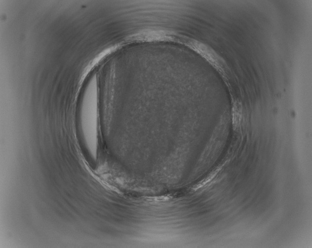 X0000079280438200612081757