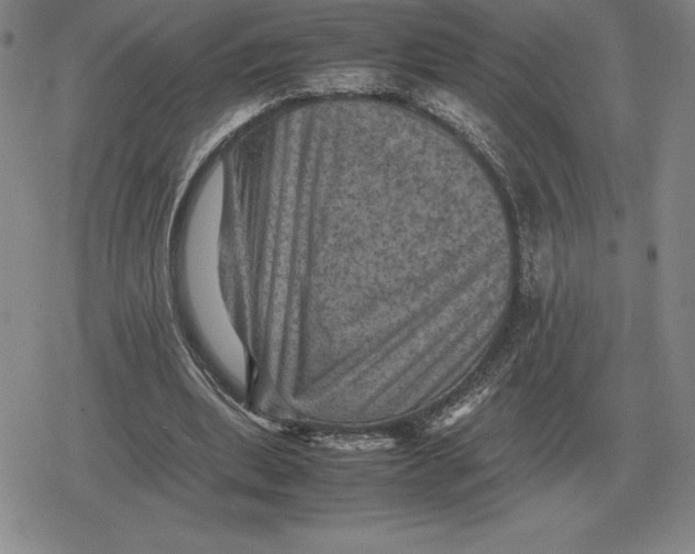 X0000079280439200612081757