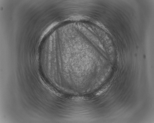 X0000079280440200612081757