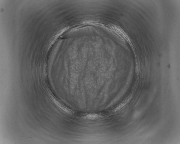 X0000079280441200612081757