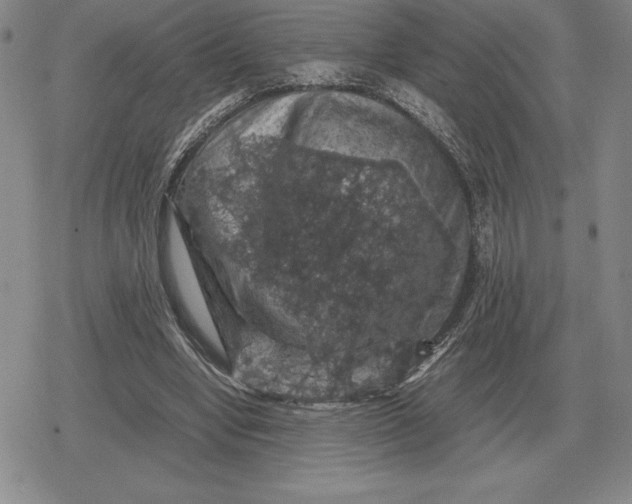 X0000079280442200612081757