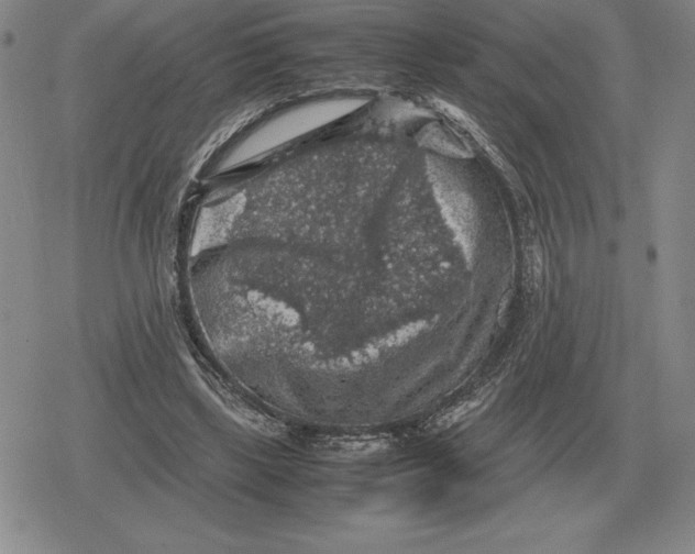 X0000079280443200612081757