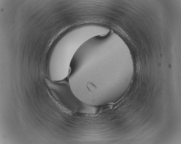 X0000079280444200612081757