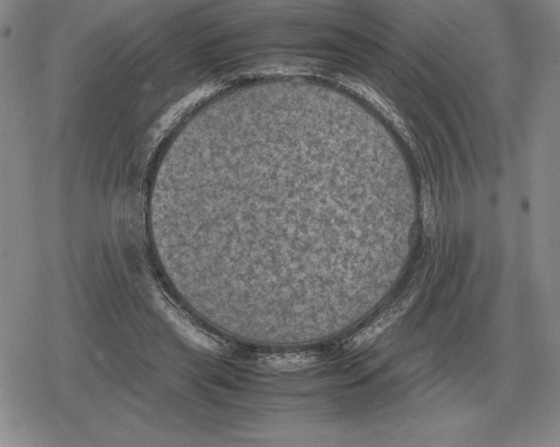 X0000079280445200612081757