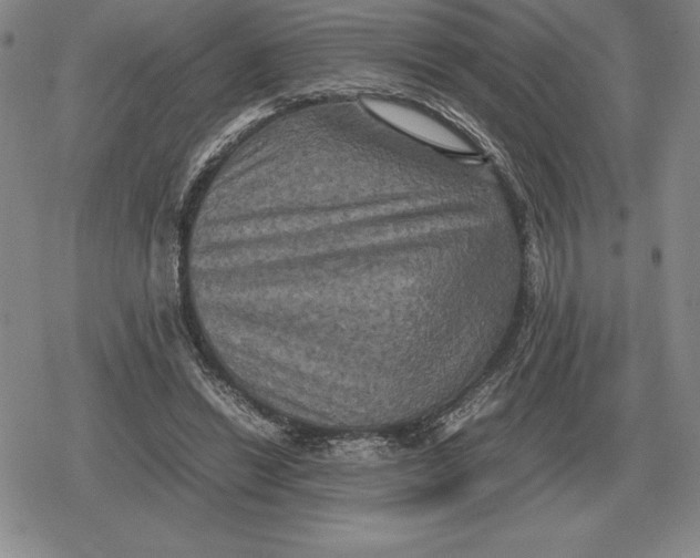 X0000079280446200612081757