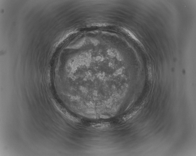 X0000079280447200612081757