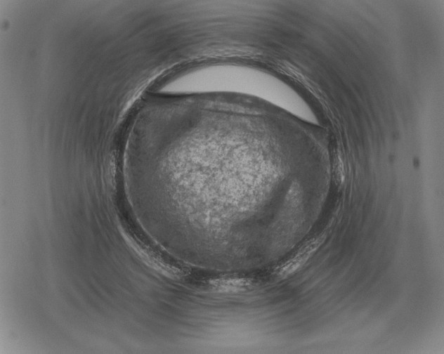 X0000079280448200612081757