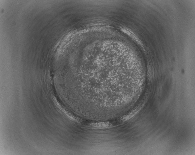 X0000079280449200612081757