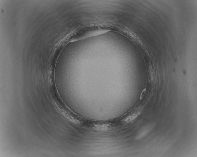 X0000079280450200612081757