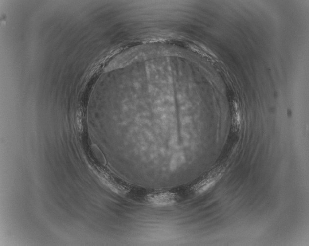 X0000079280452200612081757