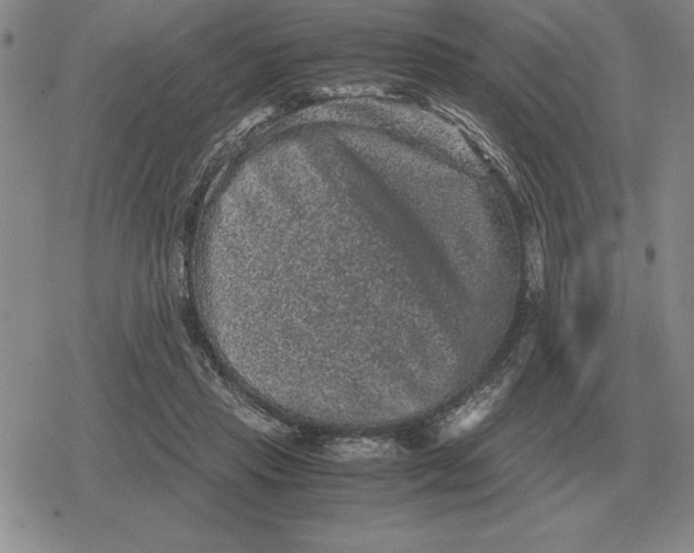 X0000079280453200612081757