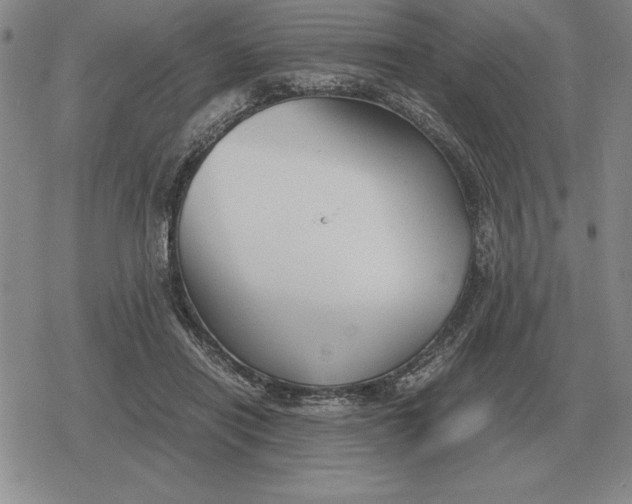 X0000079280454200612081757