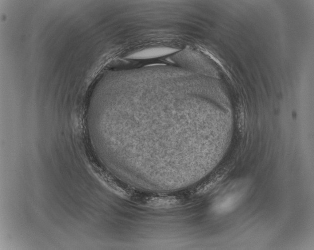 X0000079280455200612081757