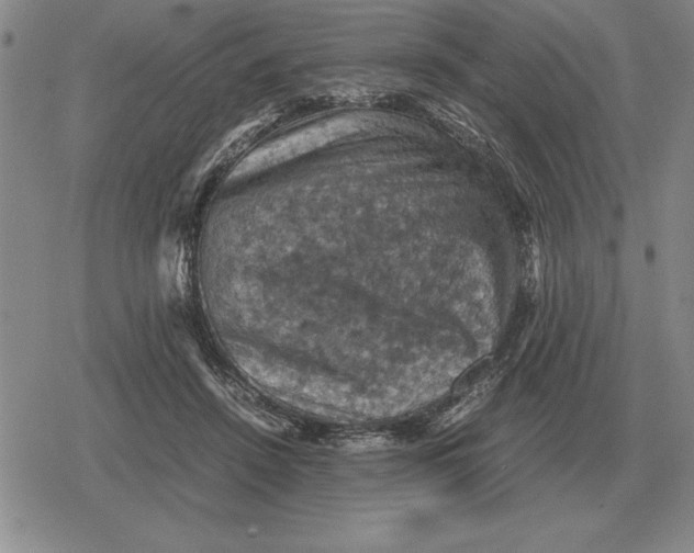 X0000079280456200612081757