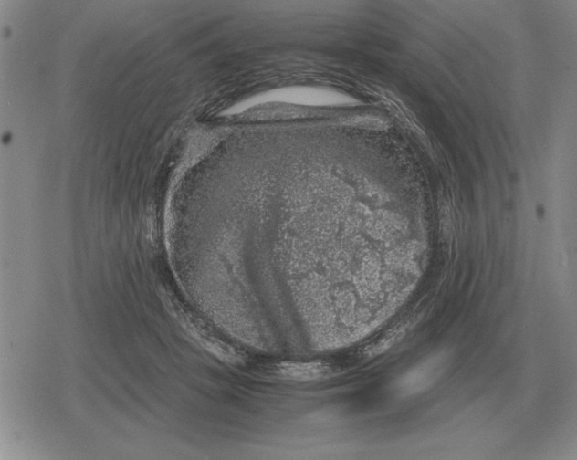 X0000079280457200612081757