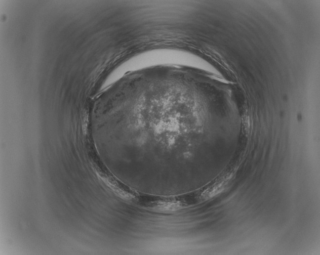 X0000079280458200612081757