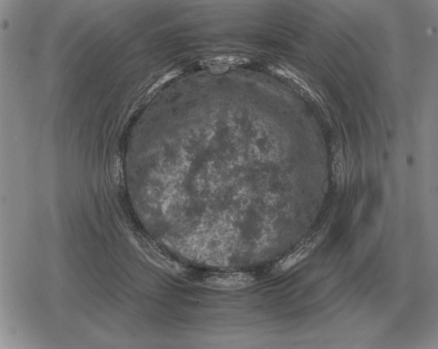 X0000079280459200612081757