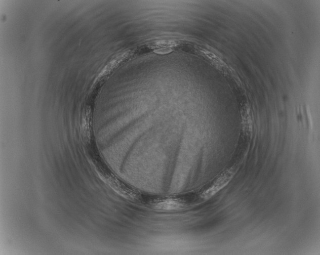 X0000079280460200612081757