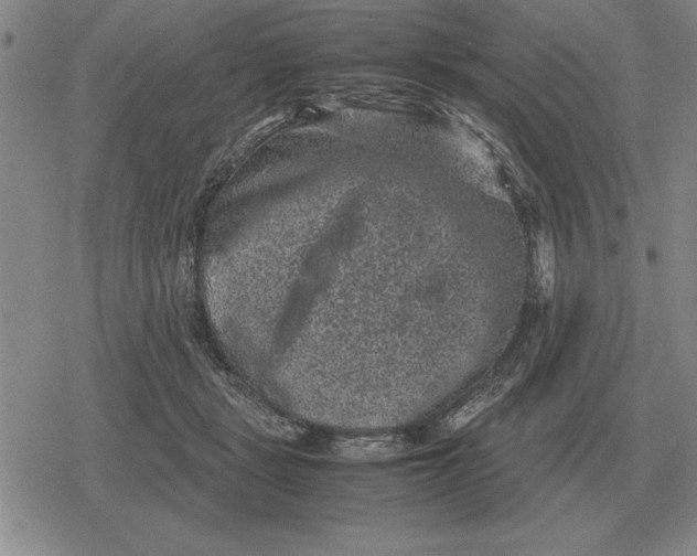 X0000079280461200612081757