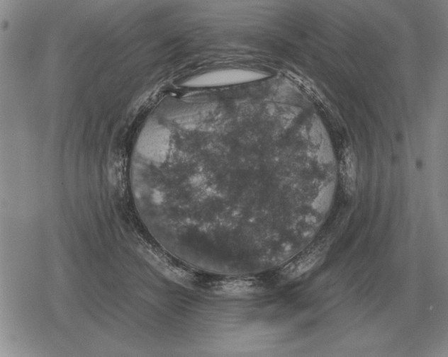 X0000079280462200612081757