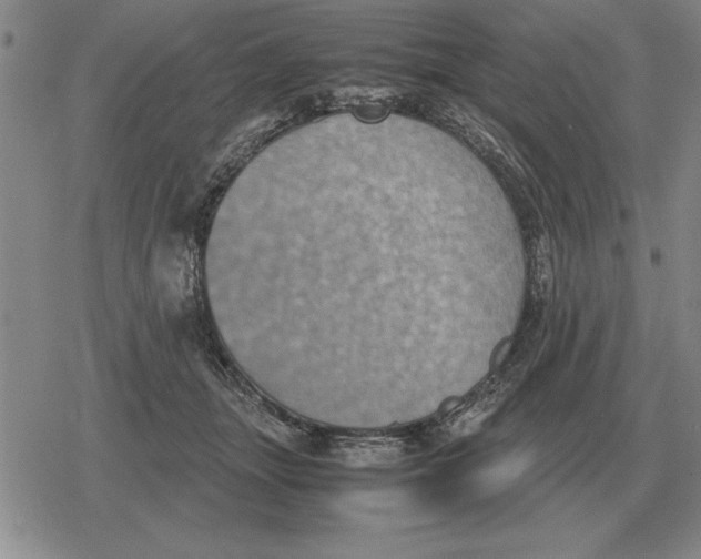 X0000079280463200612081757