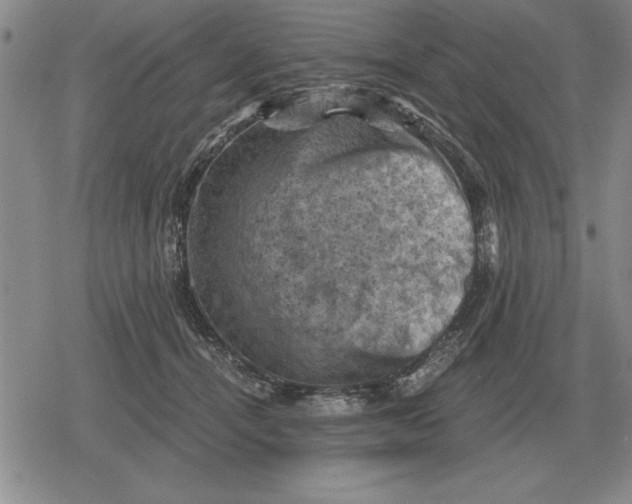 X0000079280464200612081757