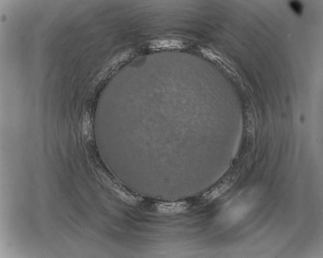 X0000079280465200612081757