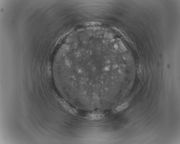 X0000079280466200612081757