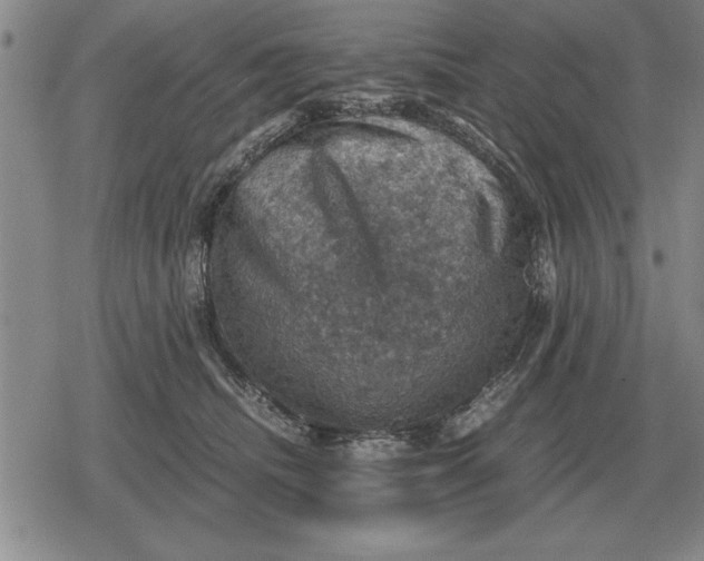 X0000079280468200612081757