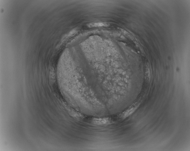 X0000079280469200612081757