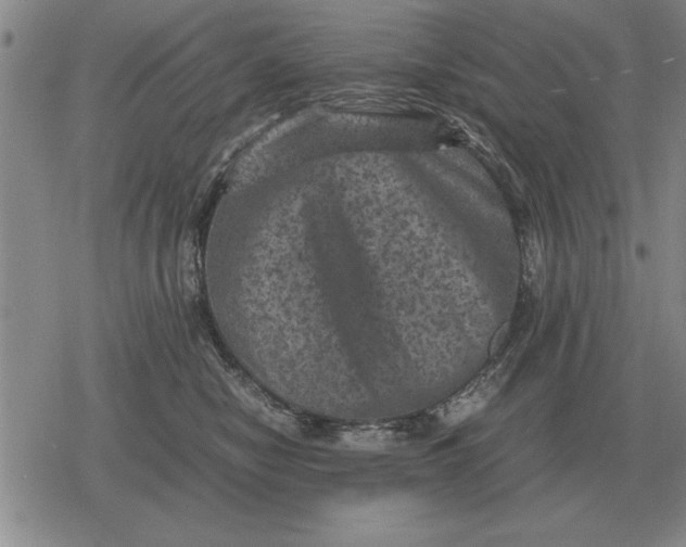 X0000079280470200612081757