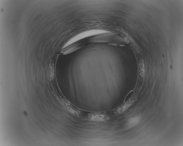 X0000079280471200612081757