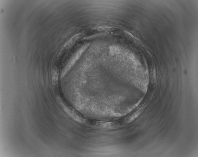 X0000079280472200612081757