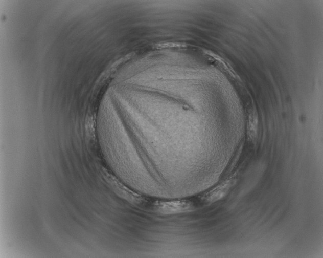 X0000079280473200612081758