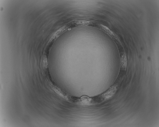 X0000079280474200612081758