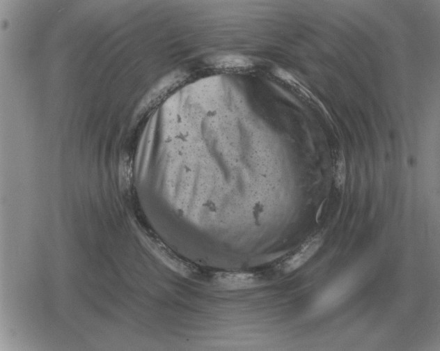 X0000079280476200612081758