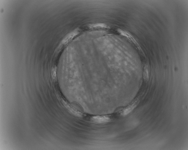 X0000079280477200612081758