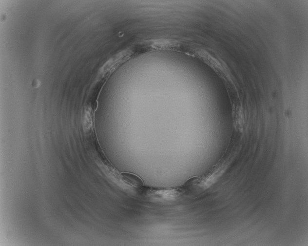 X0000079280478200612081758