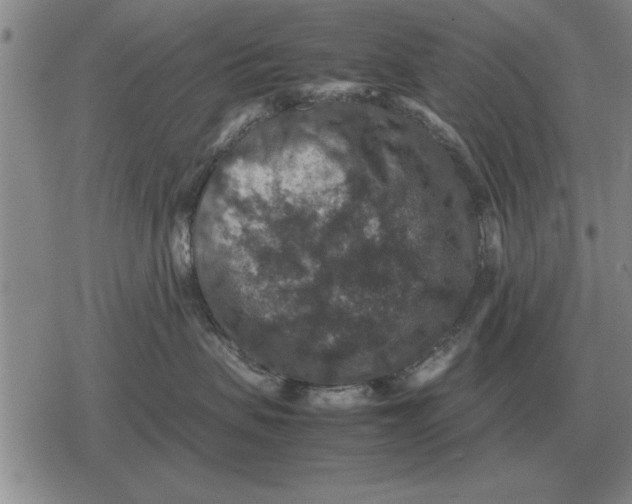 X0000079280479200612081758