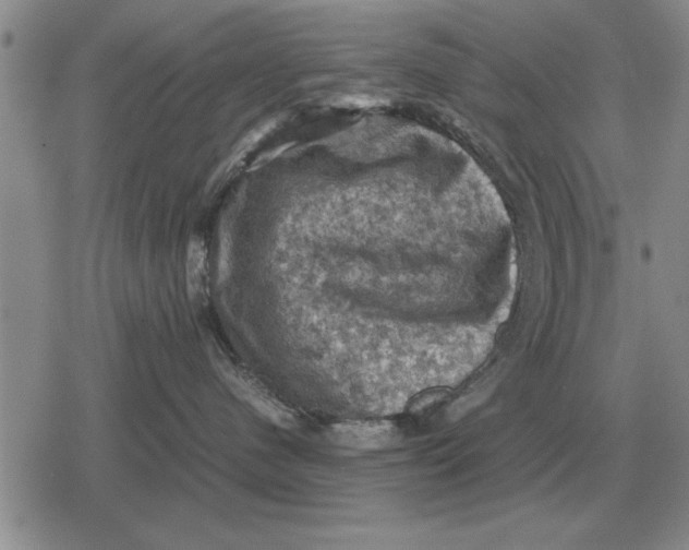 X0000079280480200612081758