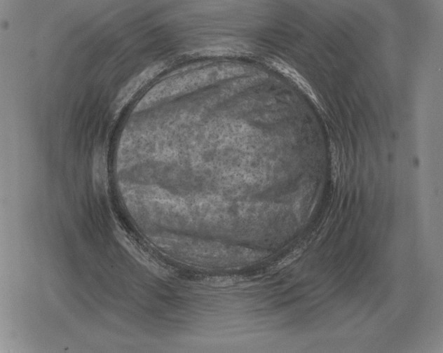 X0000079280482200612081757