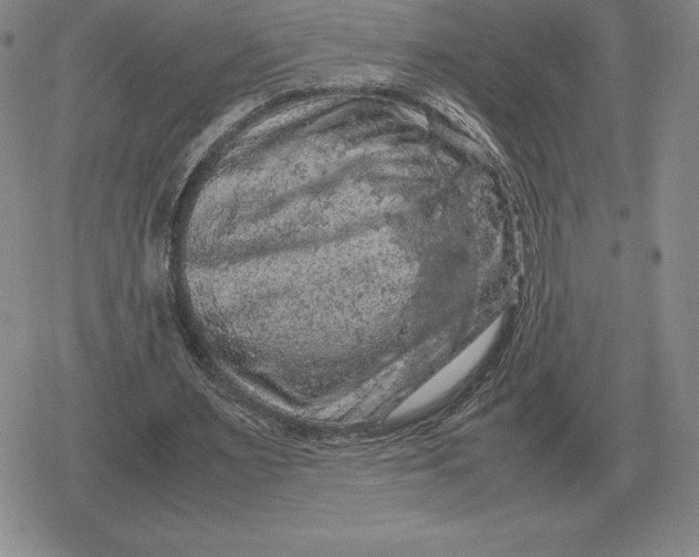 X0000079280483200612081757