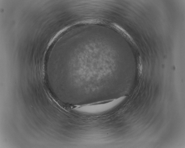 X0000079280484200612081757