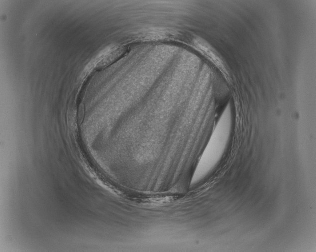 X0000079280485200612081757