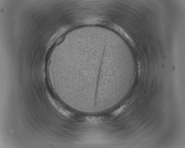 X0000079280486200612081757