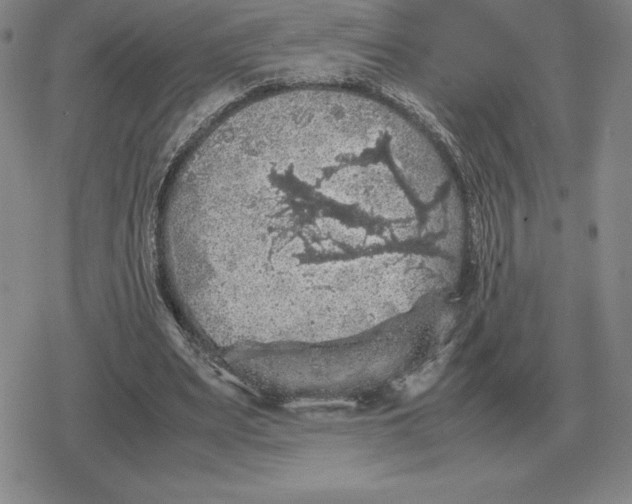 X0000079280487200612081757