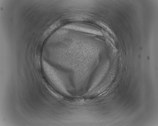 X0000079280489200612081757